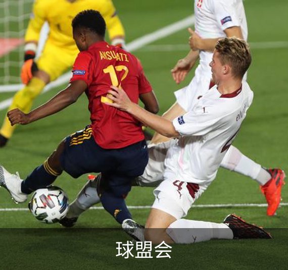 球盟会介绍